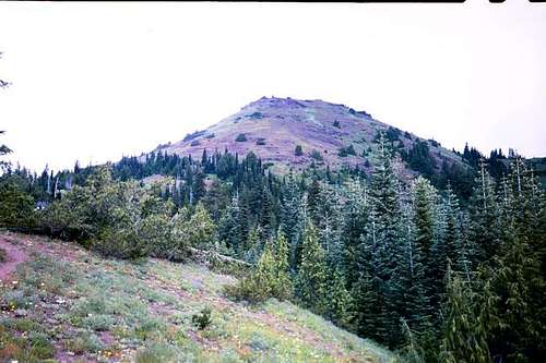 Cone Peak from the south...