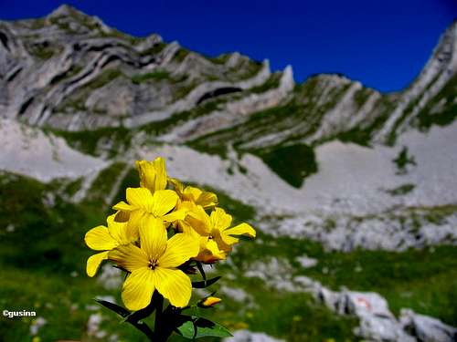 Durmitor