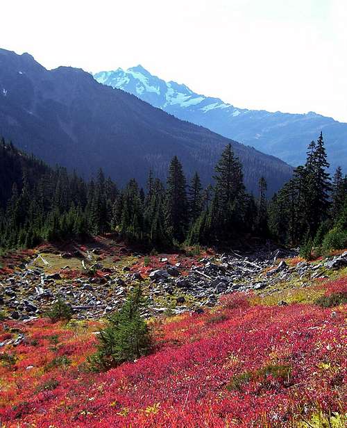 Mount Shuksan and Fall Colors 4