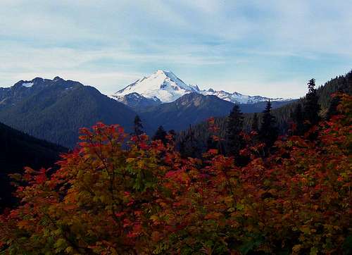 Mount Baker and Fall Leaves