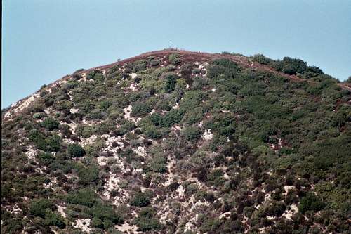 Hastings Peak (4,163') seen from Bailey Canyon Trail