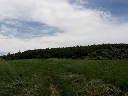 Meadows on Bear Den Mountain