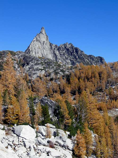 ANother view of Prusik and Larches