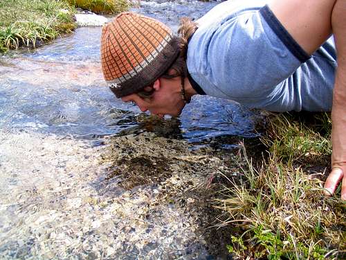 Drinking from a Stream