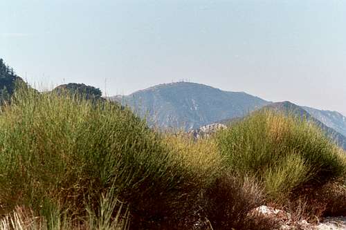 Mt. Lukens (5,074'), San Gabriel Mtns.