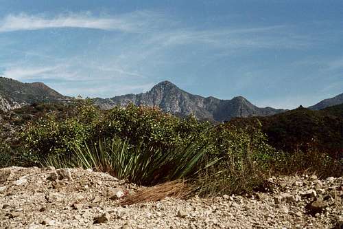 Strawberry Peak (6,164'), Front Range San Gabriel Mtns.