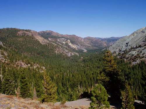 View east from Ebbetts Pass