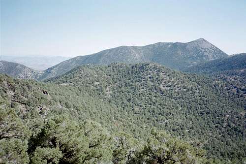 Grapevine Peak