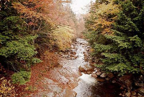 Flume Trail - New Hampshire