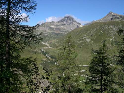 Grande Becca du Mont  and Arp Vieille from the Monumental Forest of larches of Usellières