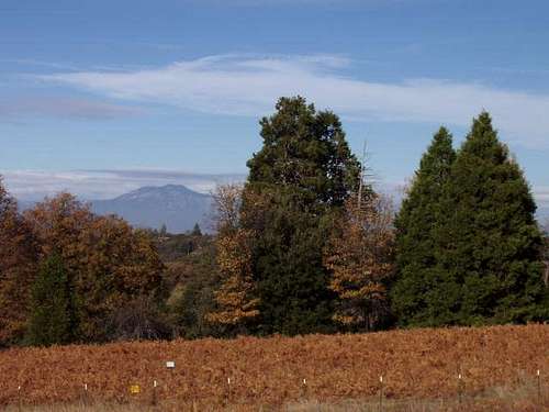 Mt. San Jacinto from Palomar Mountain