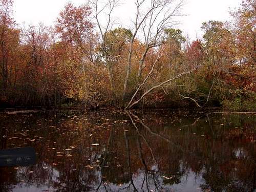 Colors along the Ipswich River