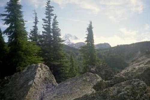 Mt. Jefferson from the summit...