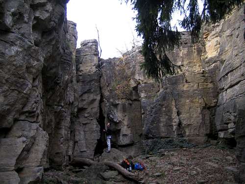 Hessigheimer Felsengärten