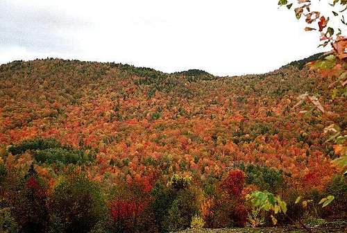 New Hampshire Color