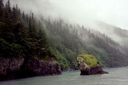 Ressurection Bay, Alaska