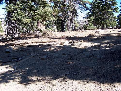 Use trail from PCT to summit
