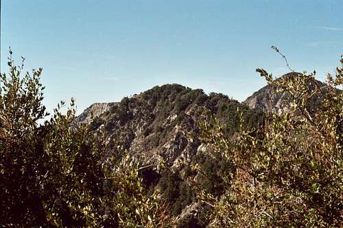 Occidental Peak (Center)  (5,732'), San Gabriel Mountains