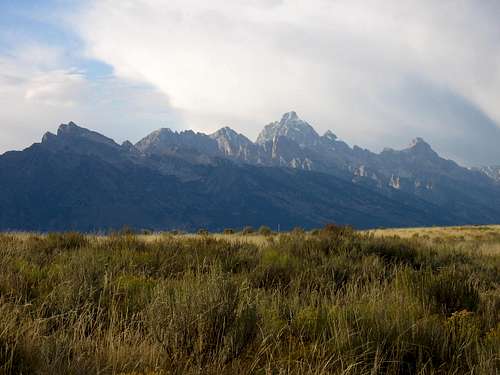 Tetons and Grass