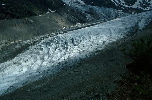 Morteratsch Glacier