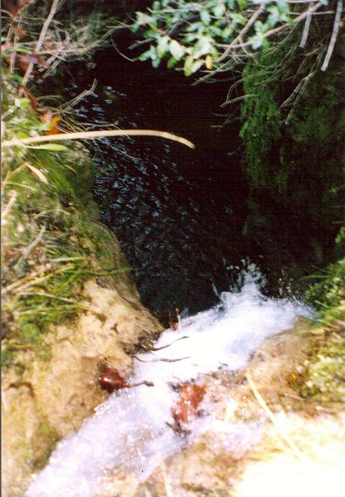 Waterfall in SE Parnitha,near Varibobi