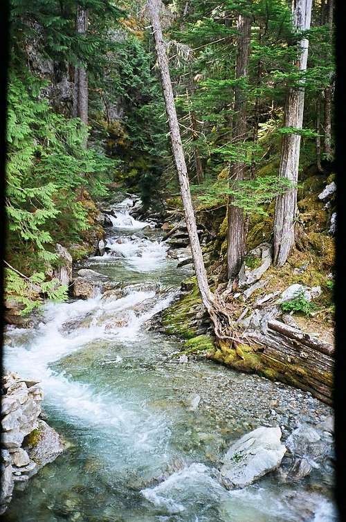 Stream in the North Cascades