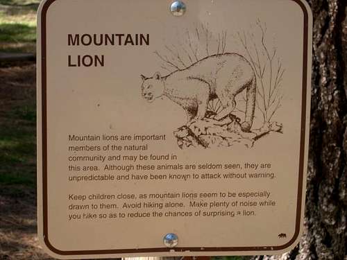 mountain loin warning...
