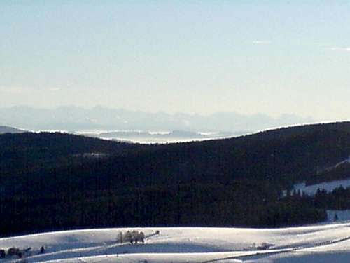 View to Bernese Alps from the Black Forrest