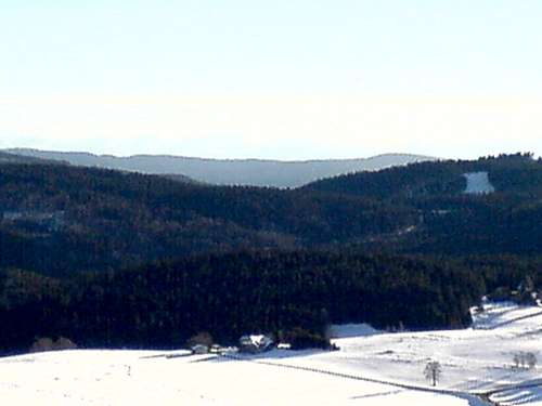 Winter in the Black Forrest