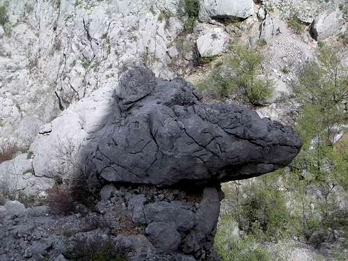 Crocodile head at the legs of Veliki Cuk