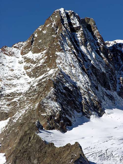 Aiguille des Glaciers  (3.817m)   from Col de la Seigne