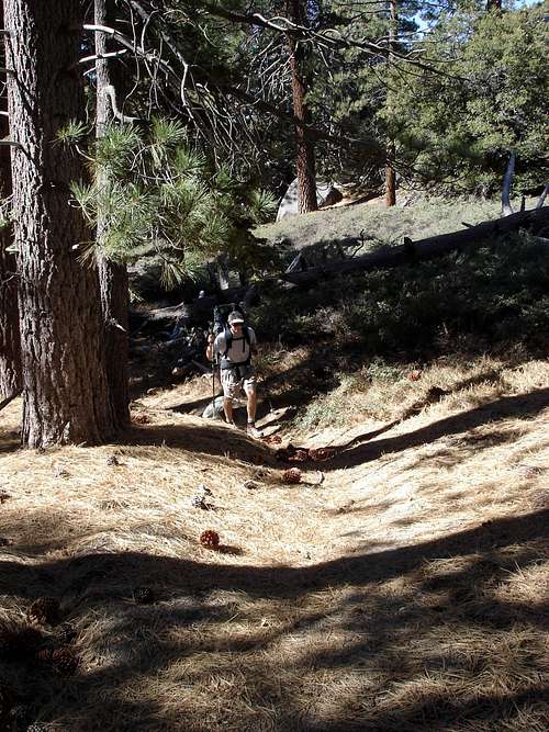 Stickboy plodding up the trail