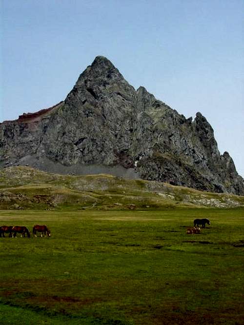 Peak of Anayet. 15 august 2003.