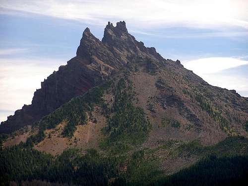 Unique View of Three Fingered Jack