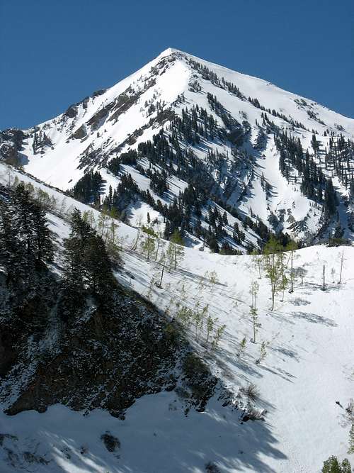 Provo Peak from Dry Creek