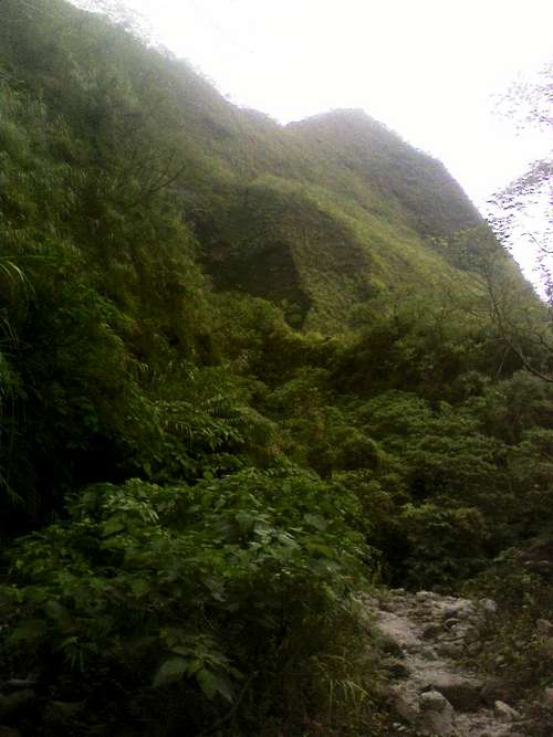 Pinatuba Jungle Trail
