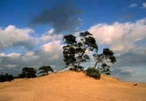 One of the famous sand dune's...