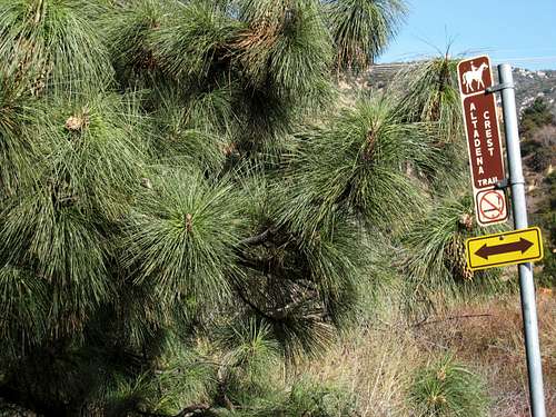 Altadena Crest Trail, San Gabriel Mountains