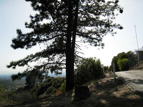Altdadena Crest Trail, San Gabriel Mountains