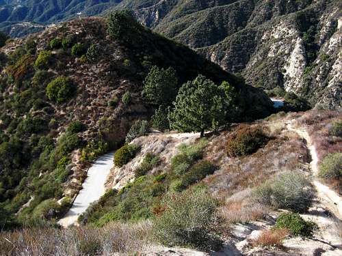 Mt. Lowe Fire Road (L) and Sunset Ridge Trail (R) Below Sierra Saddle
