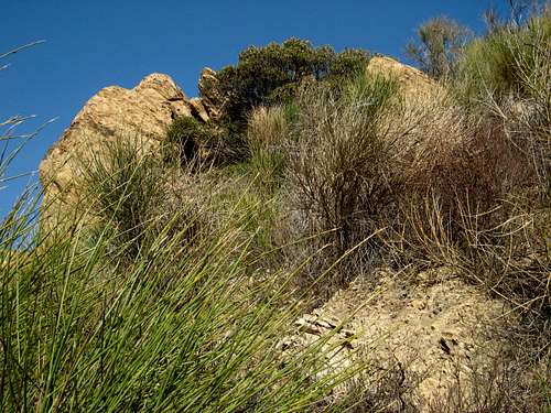 Rock Outcrop at Cape of Good Hope, San Gabriel Mountains
