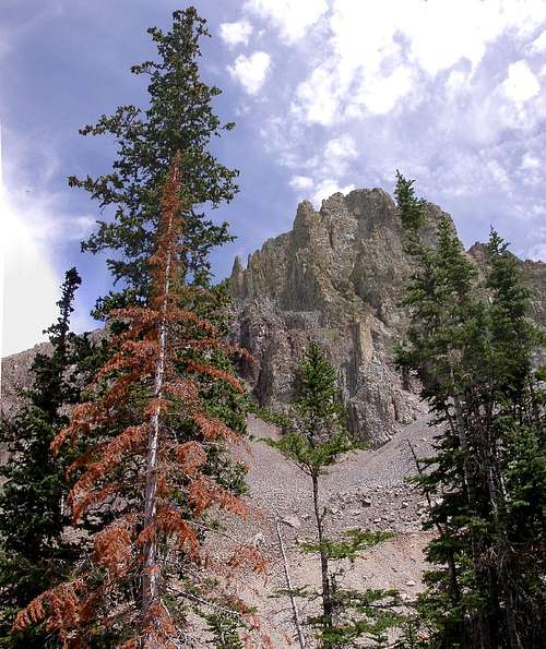 Nohku Crags and Tree