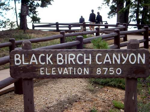 Blackbirch Canyon