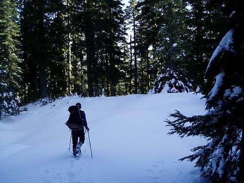 Descending the SE rib