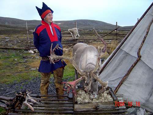 Reindeer and a Norwegian