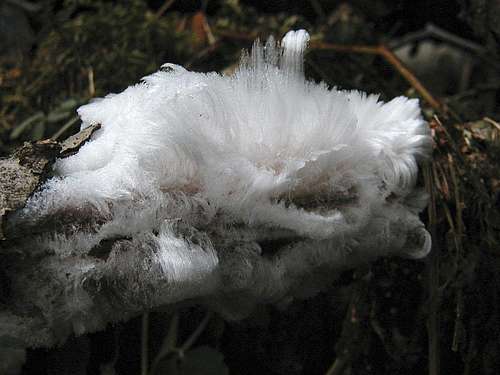 Ice Wool