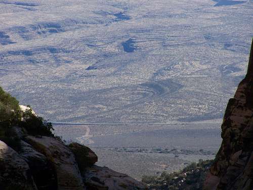 View through Fern Canyon