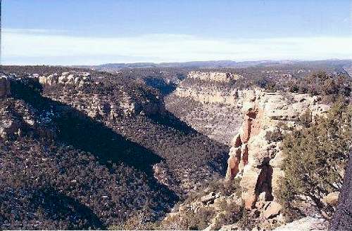Navajo Canyon View