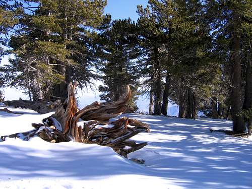 San Jacinto Peak in ice and snow