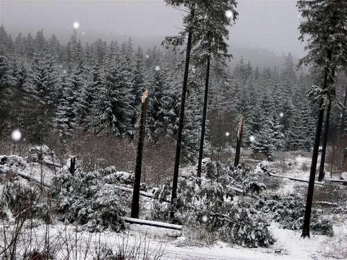 Storm and snowfall in the Harz area